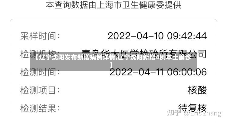 【辽宁沈阳发布新增病例详情,辽宁沈阳新增4例本土确诊】-第2张图片