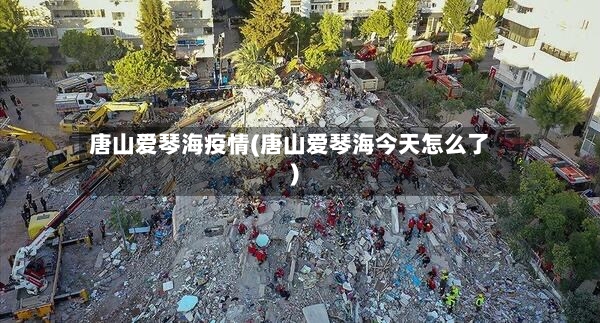 唐山爱琴海疫情(唐山爱琴海今天怎么了)-第2张图片