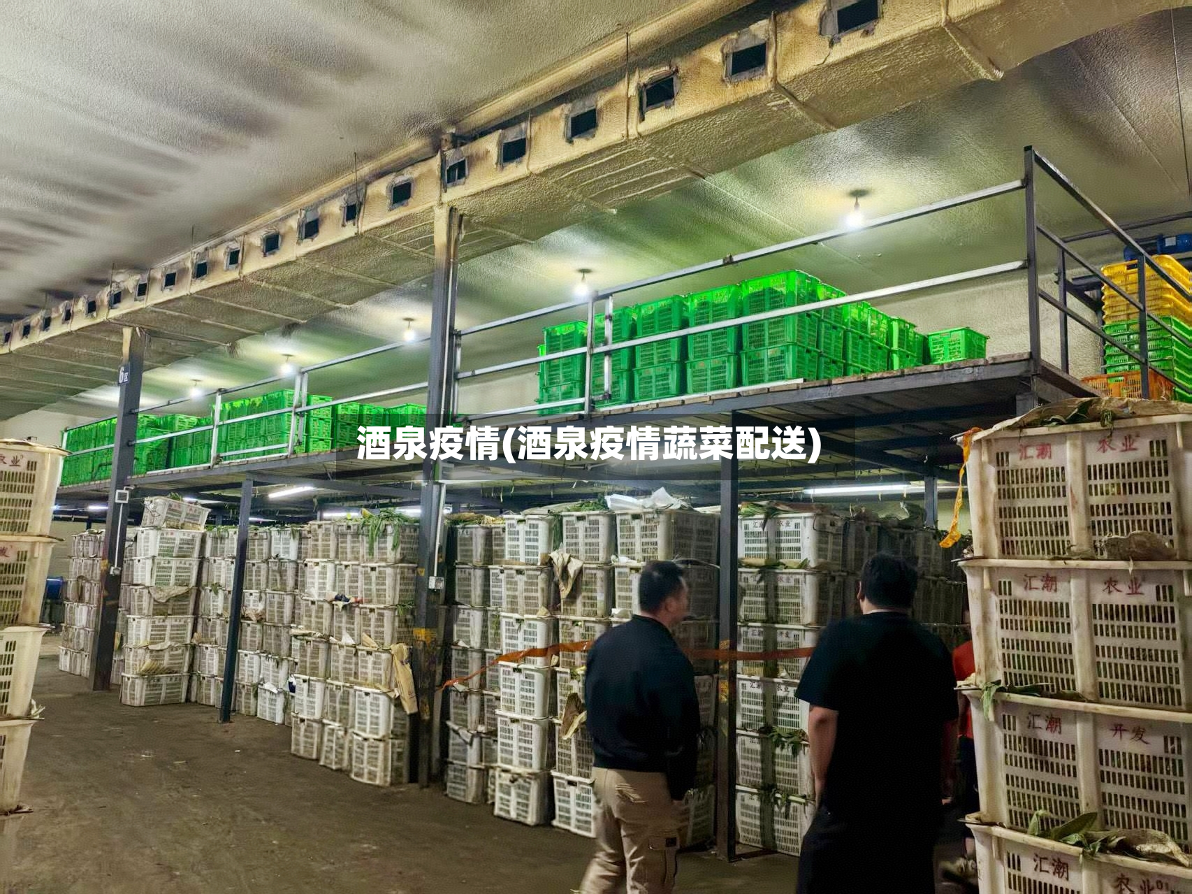 酒泉疫情(酒泉疫情蔬菜配送)-第2张图片