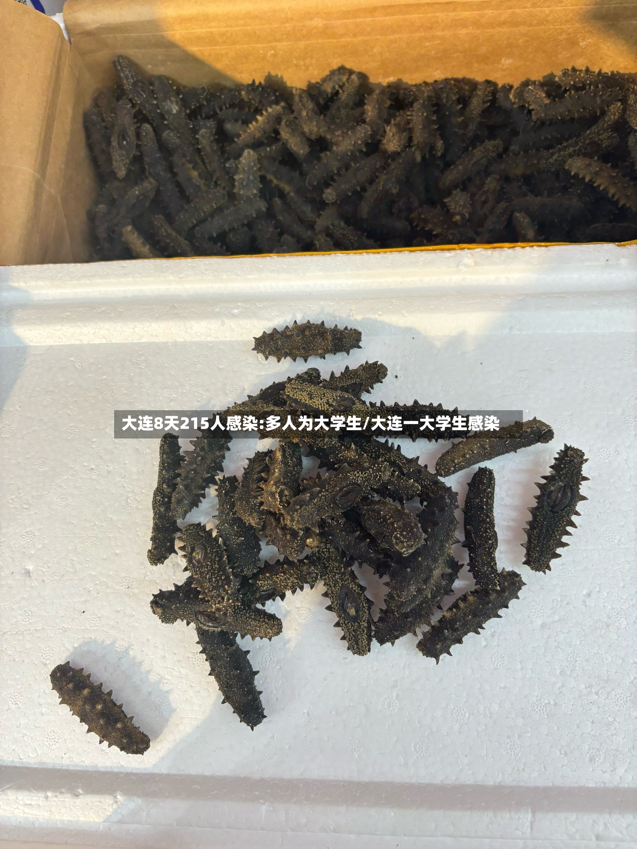 大连8天215人感染:多人为大学生/大连一大学生感染-第2张图片