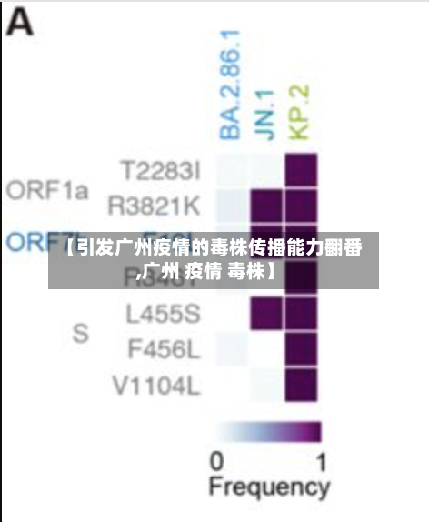 【引发广州疫情的毒株传播能力翻番,广州 疫情 毒株】-第3张图片