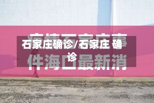 石家庄确诊/石家庄 确诊