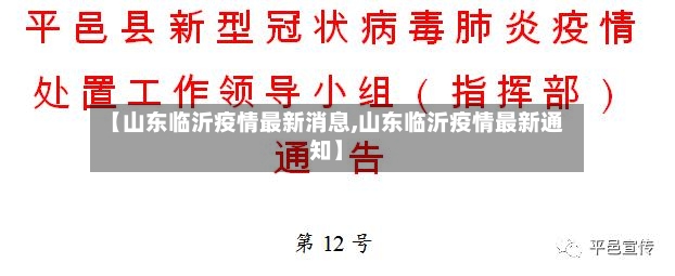 【山东临沂疫情最新消息,山东临沂疫情最新通知】-第2张图片