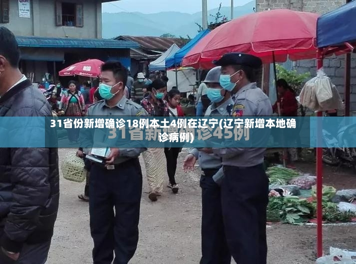 31省份新增确诊18例本土4例在辽宁(辽宁新增本地确诊病例)-第2张图片
