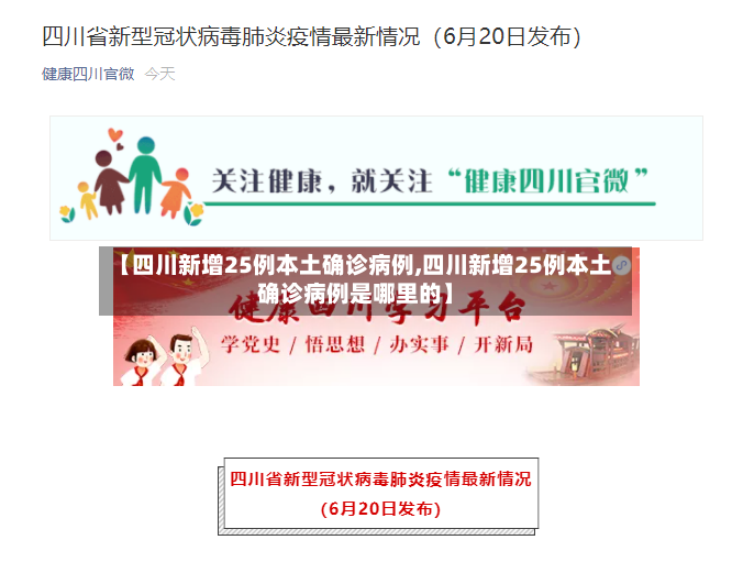 【四川新增25例本土确诊病例,四川新增25例本土确诊病例是哪里的】-第3张图片