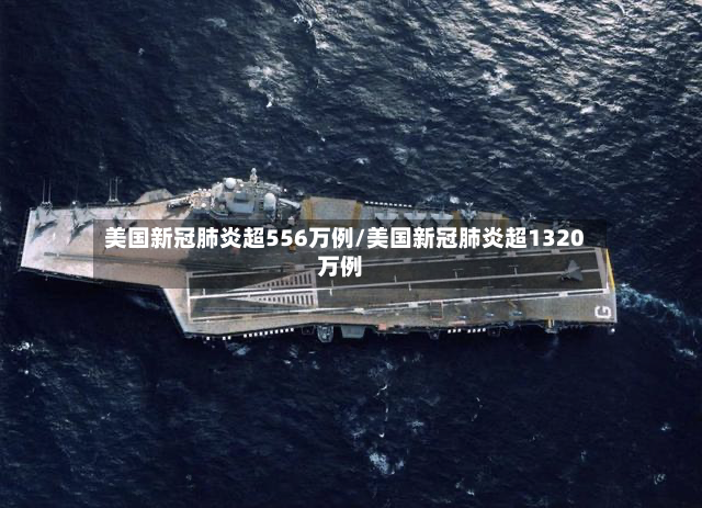 美国新冠肺炎超556万例/美国新冠肺炎超1320万例