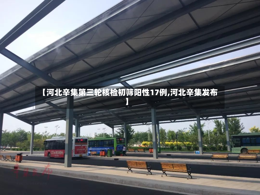 【河北辛集第三轮核检初筛阳性17例,河北辛集发布】-第2张图片
