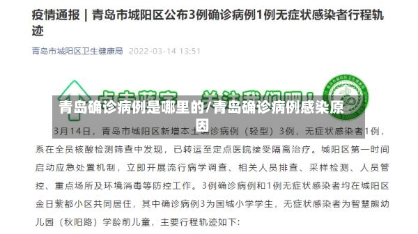 青岛确诊病例是哪里的/青岛确诊病例感染原因