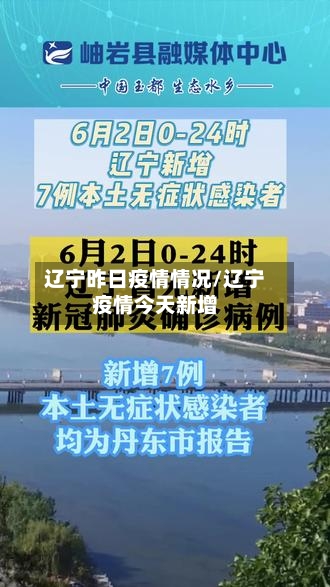 辽宁昨日疫情情况/辽宁疫情今天新增-第2张图片