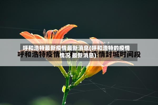 呼和浩特最新疫情最新消息(呼和浩特的疫情情况 最新消息)