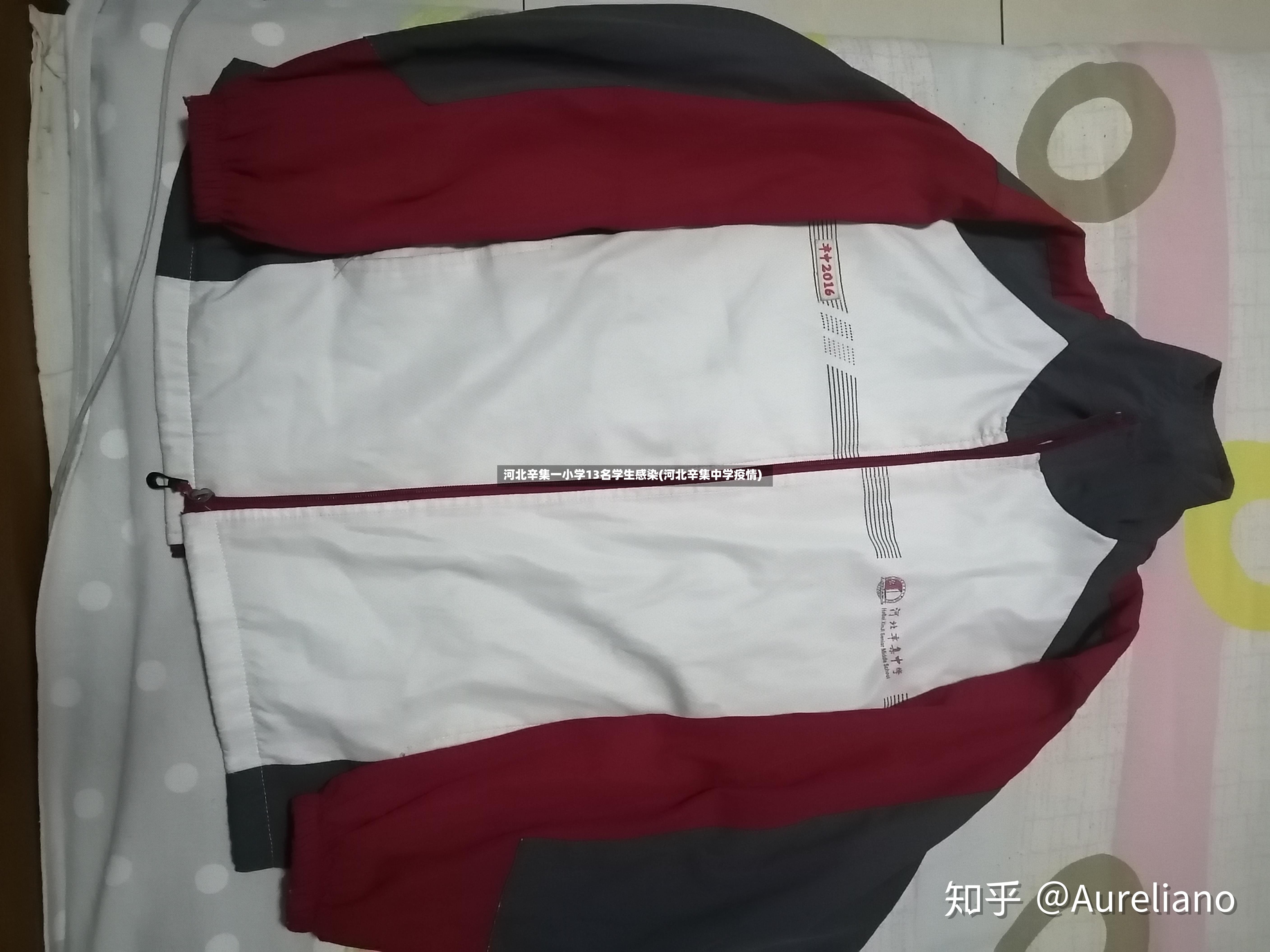 河北辛集一小学13名学生感染(河北辛集中学疫情)-第3张图片