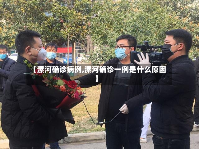 【漯河确诊病例,漯河确诊一例是什么原因】-第2张图片